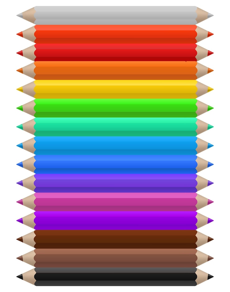 Vettore matite colorate. set di matita multicolore, forniture per ufficio o scuola disposte in linea per colori, strumento infantile creativo arcobaleno luminoso per dipingere illustrazione vettoriale isolato su bianco