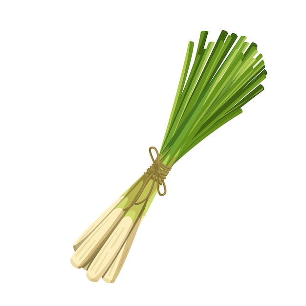 Mazzo di citronella verde, cibo vegetariano, menu sano. Erbe in crescita, insalata e pasti. Illustrazione vettoriale isolato in stile cartone animato.