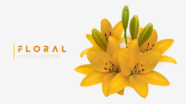 Mazzo di fiori di giglio giallo isolato Illustrazione vettoriale eps 10 Illustrazione vettoriale di gigli gialli