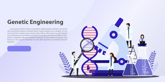 Medici che lavorano con il concetto di DNA.