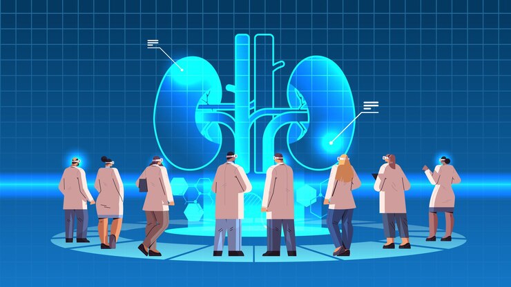 Vettore medici in occhiali digitali che guardano una spiegazione dettagliata virtuale reni anatomici organo interno vr visione metaverso