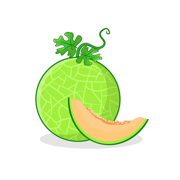 melone del fumetto e fetta di melone