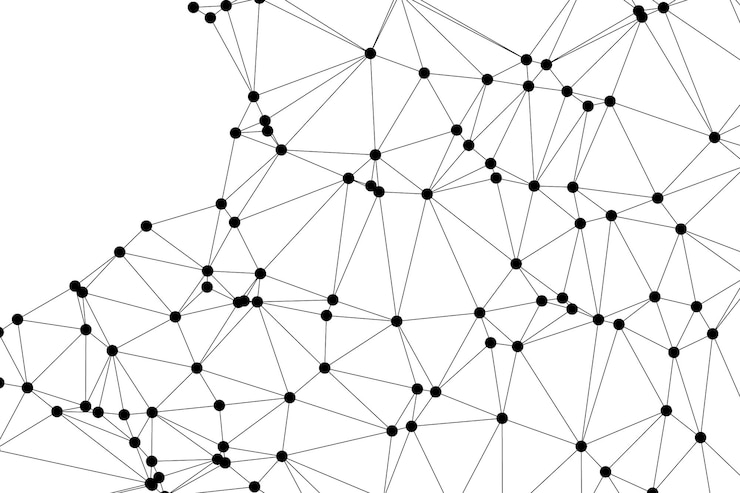 Vettore messa poligonale astratta con nodi neri e linee sottili crea un modello di rete geometrica minimalista