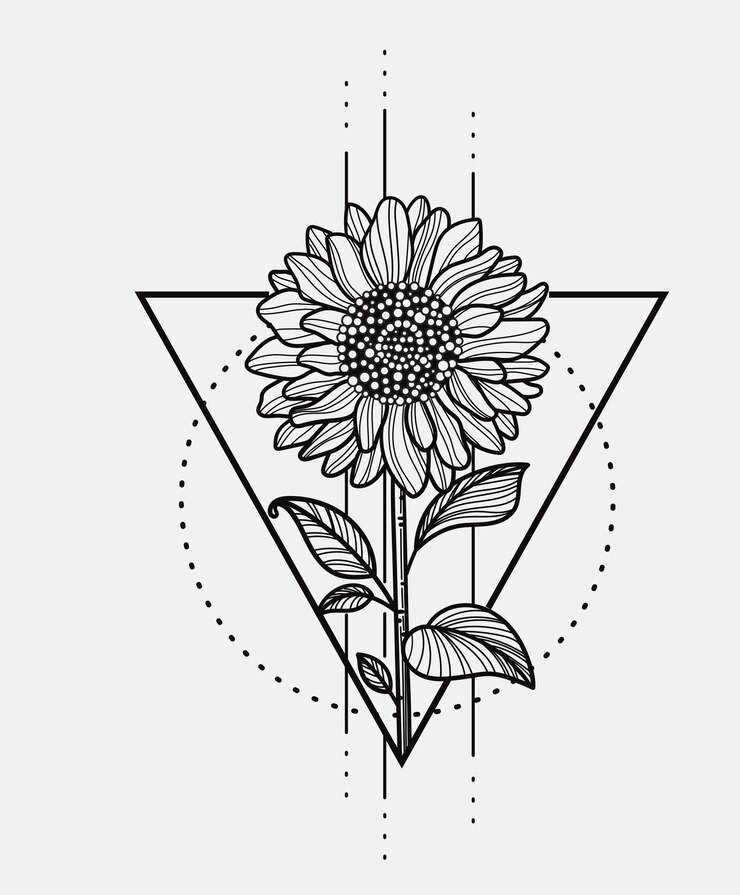 Vettore miele e girasole disegnati a mano