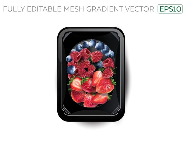 Mirtilli, lamponi e fragole in un lunchbox.