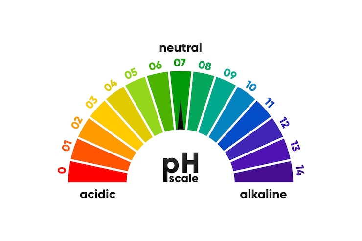 Misuratore di scala pH per soluzioni acide e alcaline Bilancia a base acida Test chimico Illustrazione vettoriale