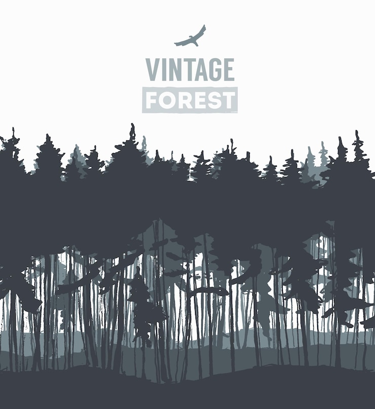 Vettore modelli di design della foresta di pini, illustrazione vettoriale