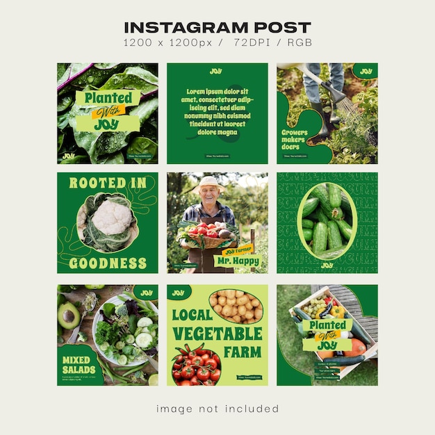 Modelli di post per i social media della fattoria biologica