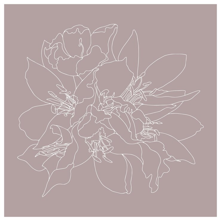 Vettore modelli vettoriali bouquet fiori con foglie illustrazione botanica per carta da parati tessuto tessile abbigliamento cartoline di carta