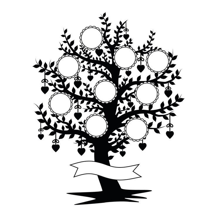 Modello albero genealogico Colore isolato Illustrazione vettoriale del cartone animato kawaii
