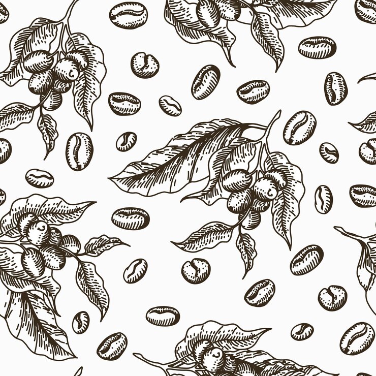 Vettore modello bacche chicchi di caffè colore seppia schizzo
