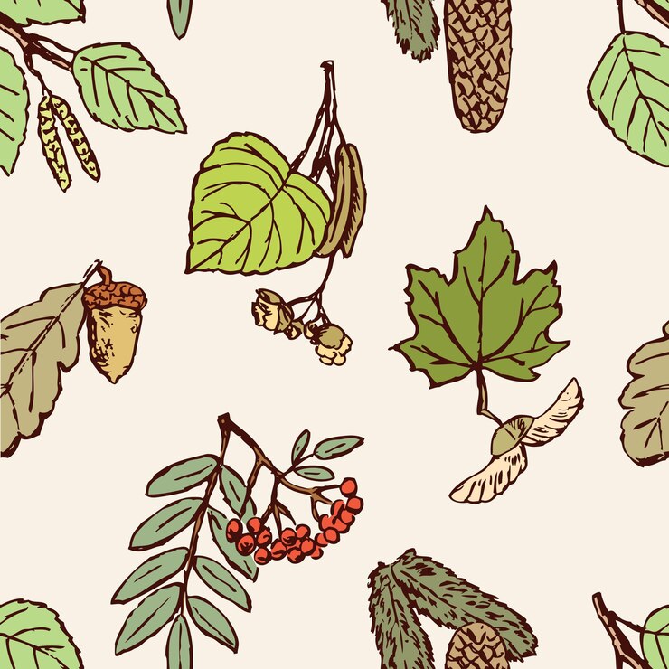Vettore modello delle foglie frutto e semi dei diversi alberi