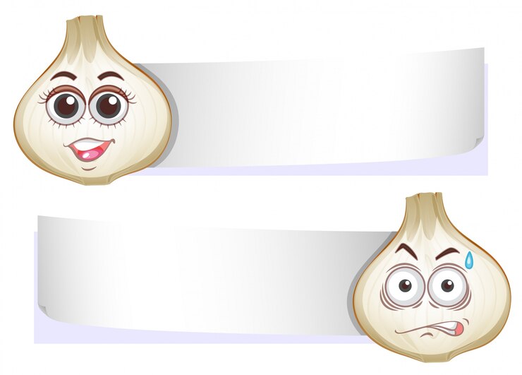 Vettore modello di banner con teste di cipolla