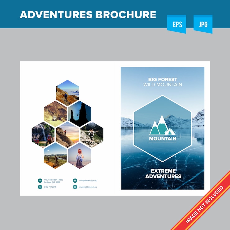Vettore modello di brochure per la gestione di foreste e tour