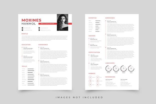 Modello di curriculum vitae