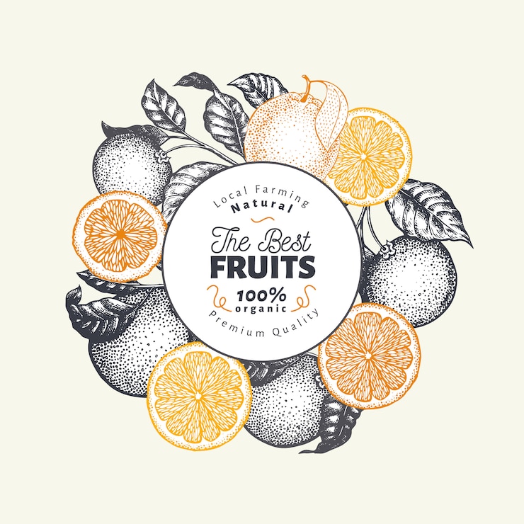 Vettore modello di design di frutta arancione. illustrazione disegnata a mano della frutta di vettore banner di stile inciso. retro sfondo di agrumi.