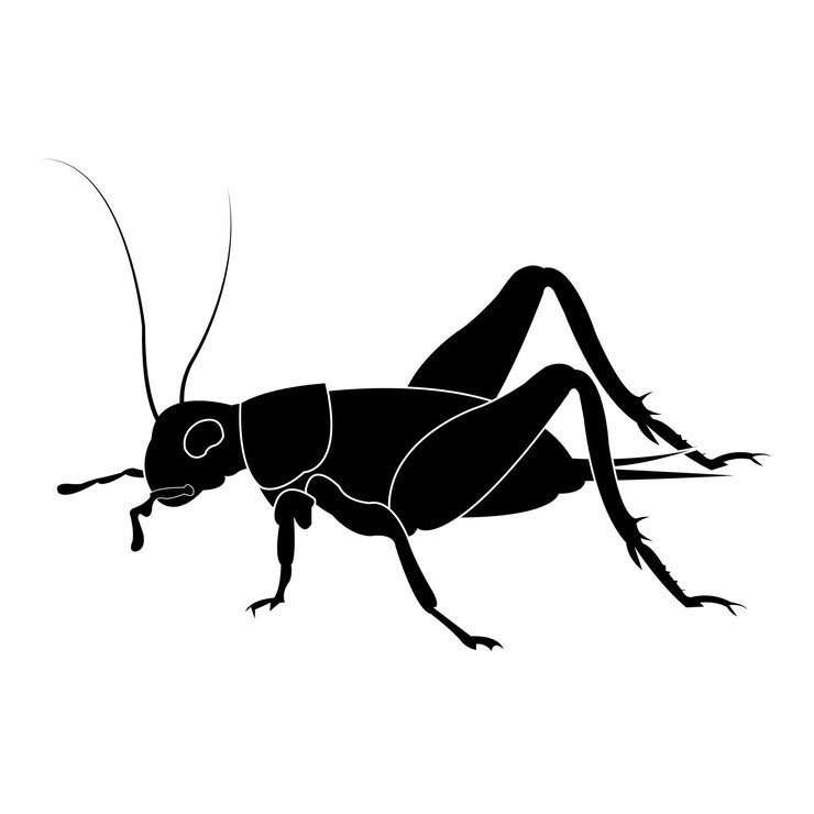 Vettore modello di disegno di illustrazione vettoriale dell'icona dell'insetto del cricket