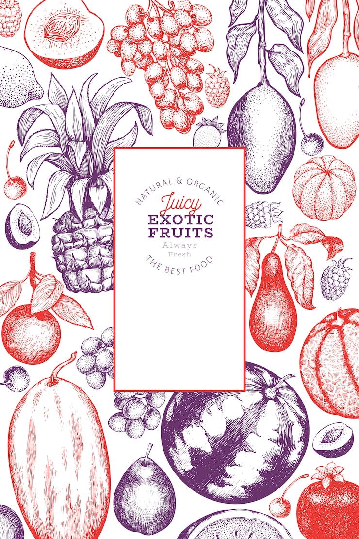 Vettore modello di frutti e bacche. illustrazione disegnata a mano di frutti tropicali. frutto in stile inciso. banner di cibo esotico retrò.