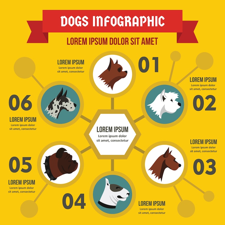 Vettore modello di infographic di razze di cane, stile piano