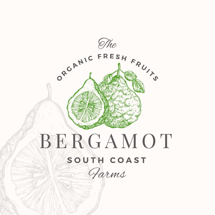 Modello di logo del distintivo di bergamotto Schizzo di agrumi di frutta disegnata a mano con tipografia retrò Emblema di cibo vegano a base vegetale premium isolato