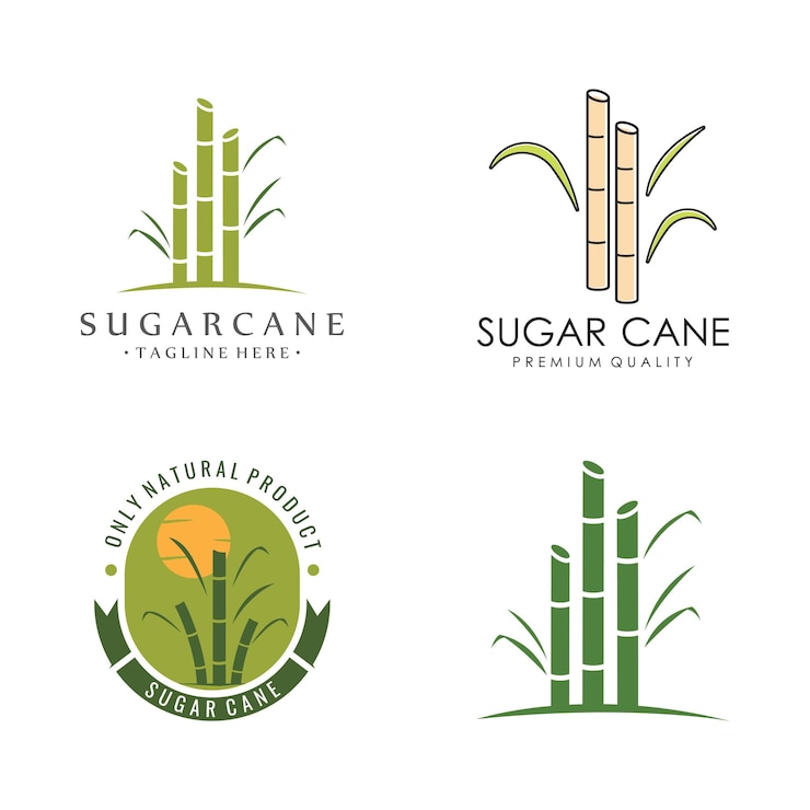 Vettore modello di logo della pianta di canna da zucchero dolce naturale