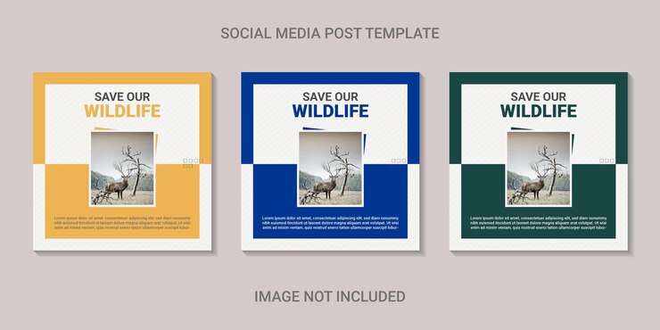 Vettore modello di post social media natura selvaggia