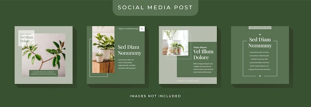 Modello di post sui social media