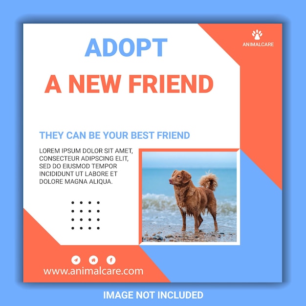 modello di progettazione di post sui social media per animali domestici