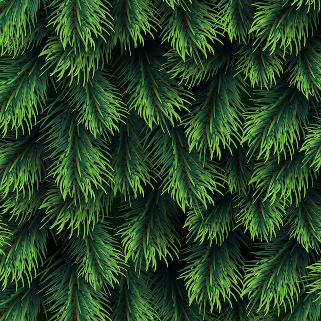 Modello di rami di abete. Sfondo di Natale con ramificazione di pino verde. Decorazioni vettoriali di felice anno nuovo