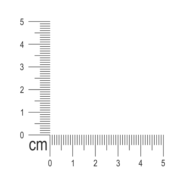 Modello di righello angolare da 5 centimetri. Strumento di misurazione con linee verticali e orizzontali