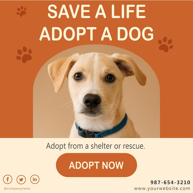 Modello di seduta per animali domestici di design piatto