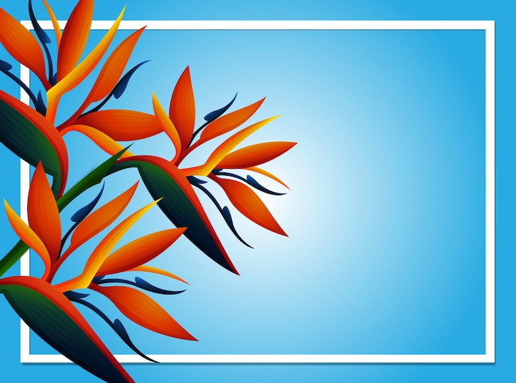 Vettore modello di sfondo blu con fiore birdofparadise