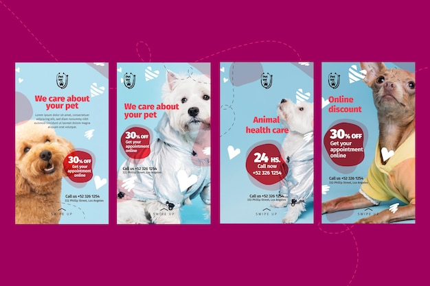 Modello di storie instagram veterinarie per animali domestici