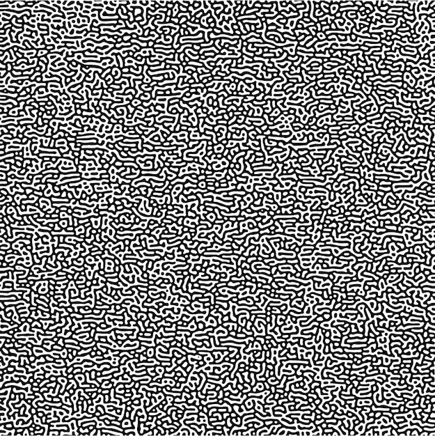 Modello di Turing. Modello reazione-diffusione. Basi chimiche della morfogenesi.