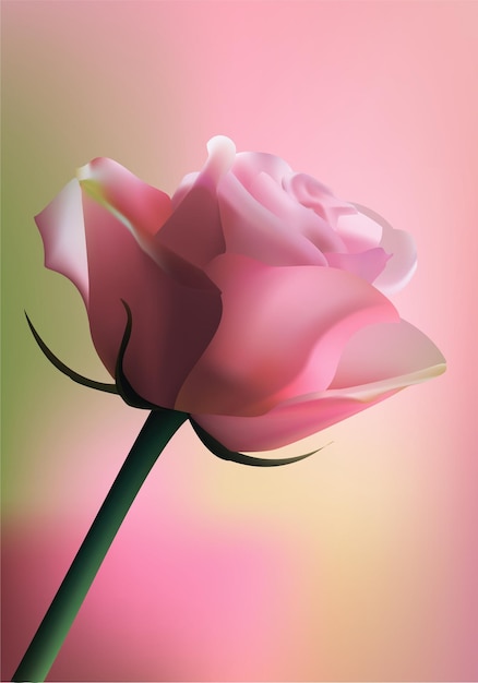 Modello per cartolina Rosa rosa