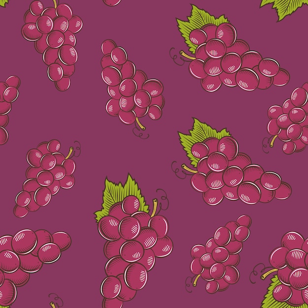 Modello senza cuciture colorato con grappoli di uva rossa in stile vintage