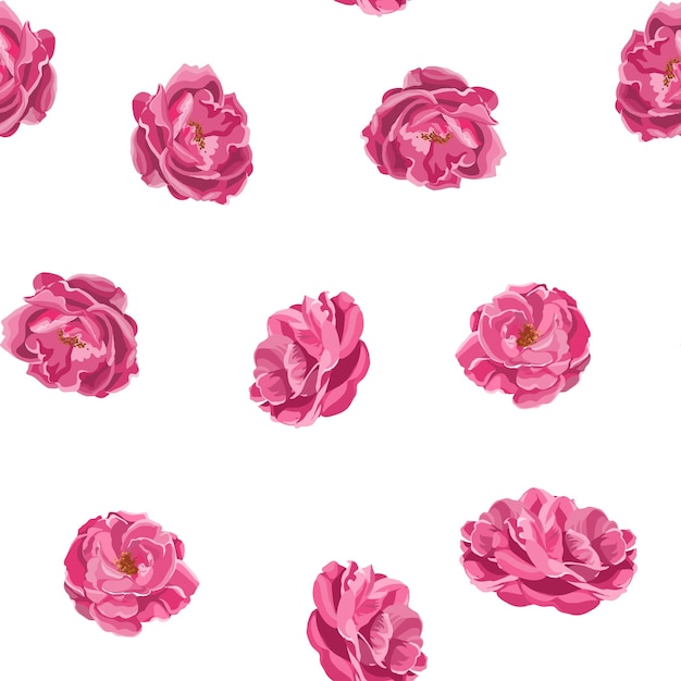 Modello senza cuciture delle rose rosa