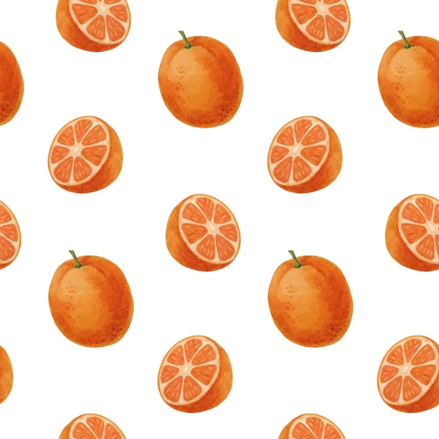 Modello senza cuciture di arance Arance acquerello e metà delle arance su sfondo bianco Vettore