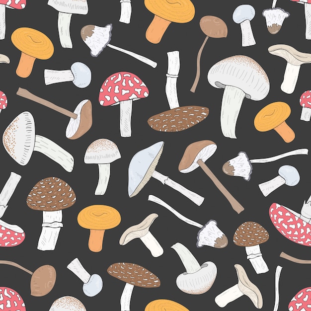 Modello senza cuciture di diversi funghi non commestibili. Funghi disegnati a mano