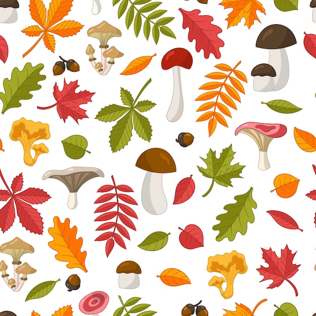 modello senza cuciture di foglie autunnali colorate luminose: quercia, acero, castagno, sorbo, betulla, tiglio e funghi selvatici commestibili. Isolare su uno sfondo bianco