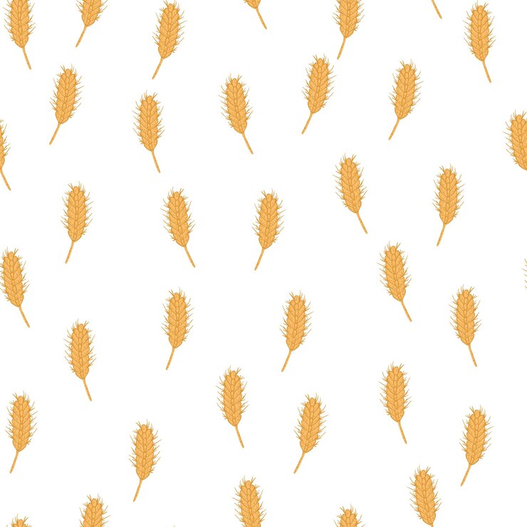 Vettore modello senza cuciture di grano. schizzo di raccolto di cereali.
