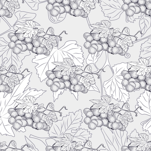 Modello senza cuciture disegnato a mano di grappoli e foglie d'uva. Design per tessuto, packaging vintage, carta da imballaggio. Stile di incisione. Illustrazione vettoriale