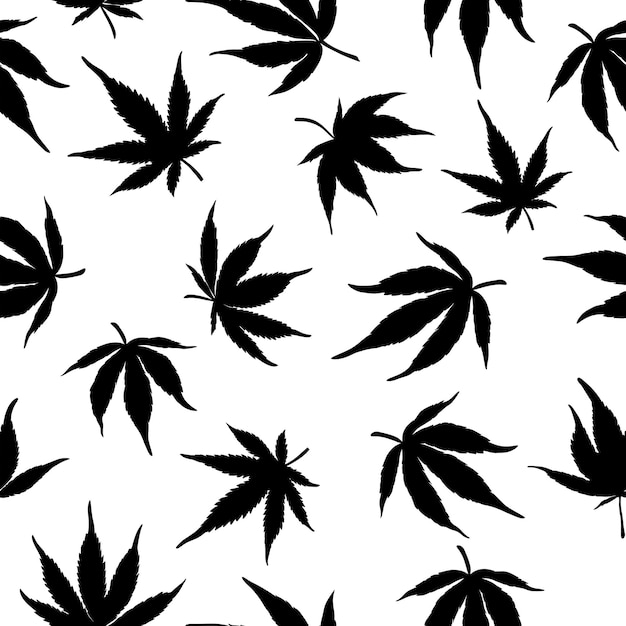 Modello senza cuciture in bianco e nero di foglie di cannabis nere su sfondo bianco