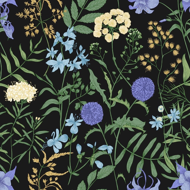 Modello senza cuciture naturale con fiori selvatici in fiore su sfondo nero. Contesto floreale con piante erbacee perenni di prato. Romantica illustrazione vettoriale realistico in elegante stile vintage.