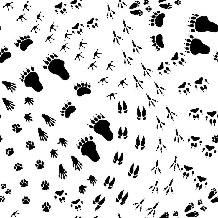 Vettore modello senza cuciture sentiero animale texture con impronte di animali selvatici che ripetono la traccia della zampa seguendo la traccia dell'animale domestico orso passo volpe stampa piede illustrazione vettoriale segni del sentiero del cane coniglio