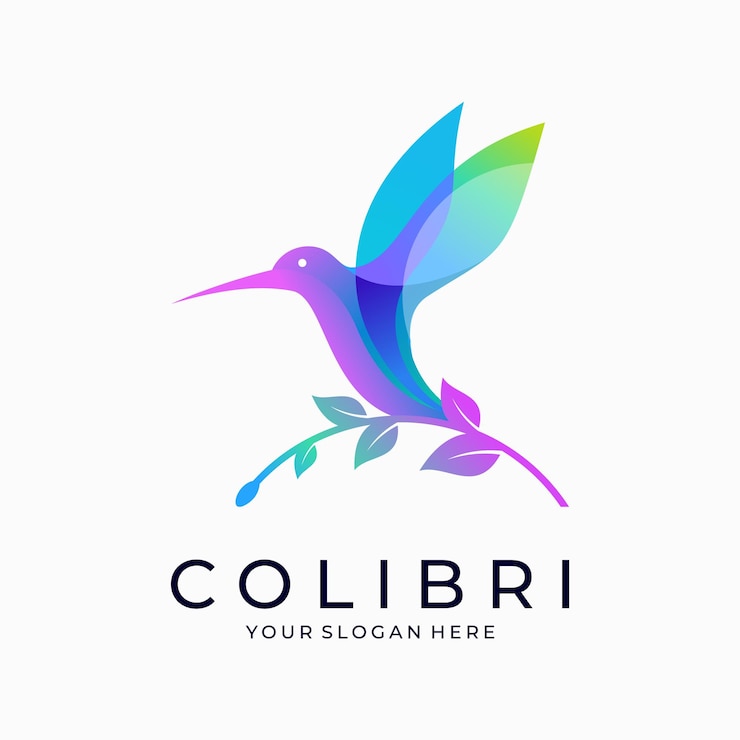Vettore modello vettoriale logo colibrì