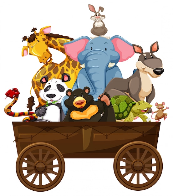 Molti animali selvatici sul carro di legno