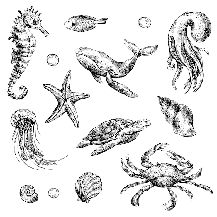 Vettore mondo sottomarino clipart con animali marini balena tartaruga polpo cavallo di mare stella di mare conchiglie corallo e