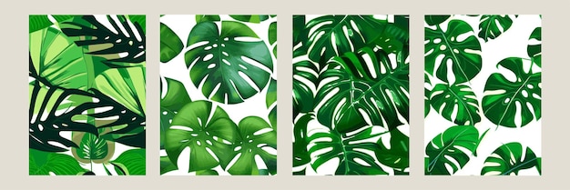 Monstera verde come motivo su sfondo bianco motivo esotico con foglie tropicali Set di illustrazioni vettoriali