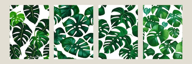 Monstera verde come motivo su sfondo bianco motivo esotico con foglie tropicali Set di illustrazioni vettoriali